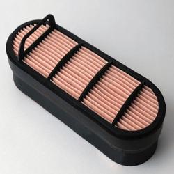Donaldson filter vzduchový P60-6121